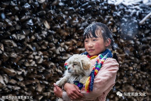 牛氣沖天丨灰度影像2020年度國內賽成績匯總欣賞